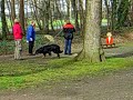 Jugendbeurteilung \"Der Schlitten\"