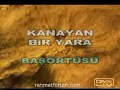 Başörtüsü gerçekleri