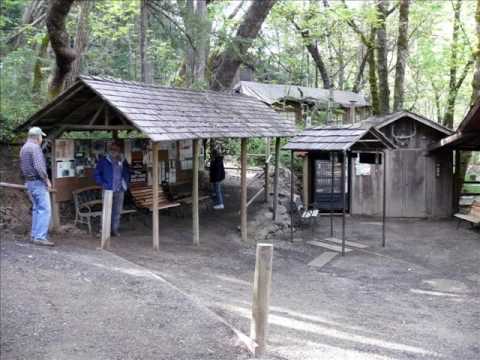 Oregon Vortex