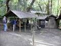 Oregon Vortex