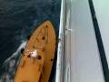 videos de FREEDOM OF THE SEAS