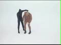 が~まるちょば 「ソトコト」CM 【タバコ編】