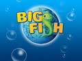 Big Fish Games Dream Chronicles 2 the Eternal Maze english