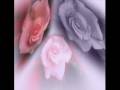 Shopno gulo.....Face 2 Face