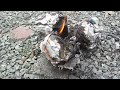 Click here to watch this video [解放軍]Easy to ignite charcoals at barbecue 木炭を簡単着火する方法