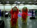 videos de 2008 HMA Lion Practice - The  End