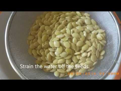 how to collect zucchini seeds