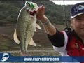 lucky craft real bait
