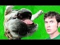 UGLY PUPPY!!!