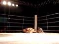 Paranaguá Fight I - 24/03