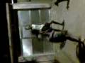 videos de BONDE DOS MENOZINHOS