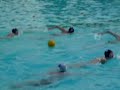 Home Nations Waterpolo tournament Home Nations Waterpolo tournament