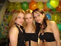 GATAS DE LONG BRANCH - 2007 -