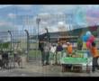 videos de Sport.jpg - Festa regionale Uisp della Grande Età