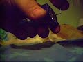 hummingbird pick hummingbird pick