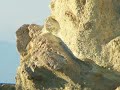 Ponza  Immagini - Nicola Ottaviani