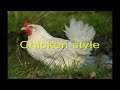 Hhner style.avi
