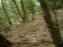 ben voilla povre fille qui en seconde dont une qui a redoublé une fois et lautre 2 fois elle joue a cache-cache dans la foret alala quelle mentalité
