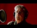 Señora Carmen - Ramo verde