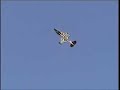 The Aurora Butterfly Gyroplane Flying at Utah #2