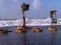 ALLAGAMENTO SCILLA (RC)