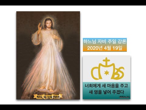 " 펠리칸의 사랑" 하느님 자비주일 강론(2020년 4월 19일)