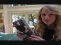Search Video