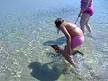 dog-paddle-style-competition.html