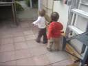 In the Backyard
