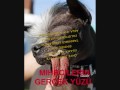 ISKENDER ALI MIHR DANGALAGININ SONU