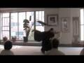 videos de shomenuchi irimi nage