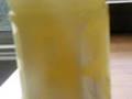 Biodiesel Settling