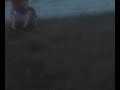 wtf?
