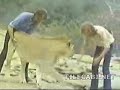 Retour au bercail
