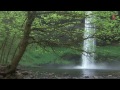 Ksheera Sagara - Sri M. S. Gopalakrishnan - (Violin) Indian Classical Instrumental