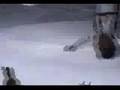Sky Surfing Video