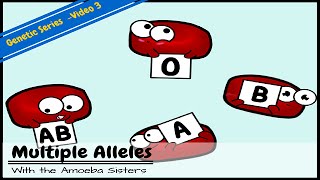 multiple alleles abo blood types and punnett squares