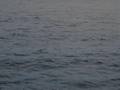 videos de Two Submarines Racing Each Other