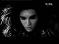My-Fanvideo-Spring-n