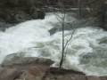 videos de Movie @THE SMOKIES 01-07-09