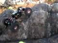 RCCrawling in the T-Rock
