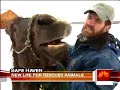 Rolling Dog Ranch On NBC\