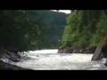 Gaula River-Atlantic Salmon Fishing