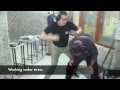 Voir la Vidéo