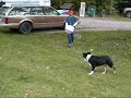 Playing with Riley