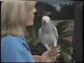 Wildlife Wendy's Tropical Birds