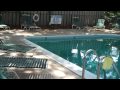 508 Queens Grant pool.MP4