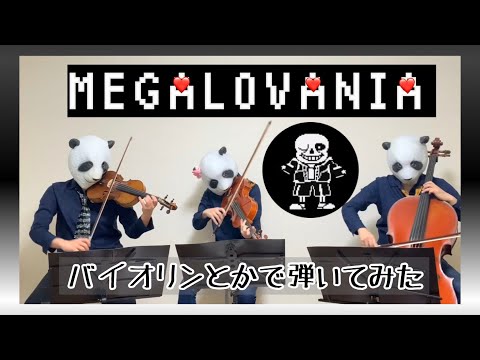 動画