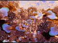 AUDIO-X _ _ _ _ _ E-ssence _ _ _ _ _ VJ Julio