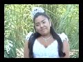Gabriela Quincea�era Dragonfly-Photo-Video